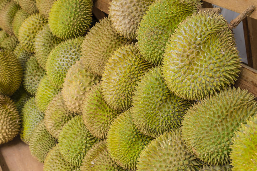 无人,横图,水果,新加坡,亚洲,大量,食品,榴莲,bj175