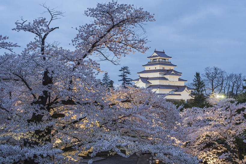 无人,横图,室外,白天,樱花,日本,城堡,樱桃树,风景,天空,自然,春天,照亮,bj175