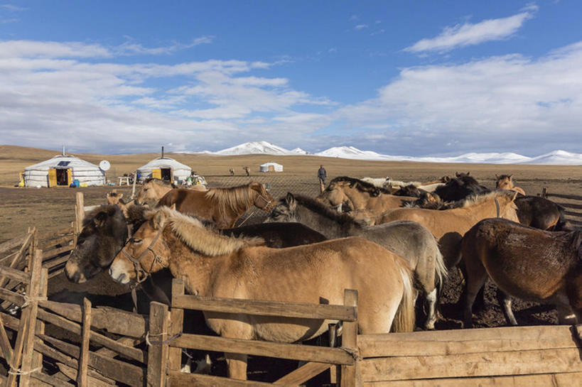 横图,室外,白天,山,雪,马,亚洲,地形,篱笆,风景,天空,动物,牲畜,蒙古包,bj175