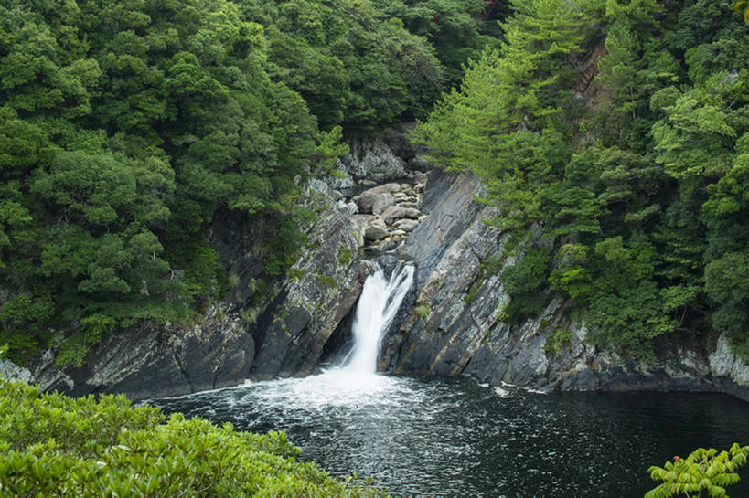 无人,横图,室外,白天,森林,山,日本,地形,世界遗产,风景,自然,鹿儿岛县,联合国教科文组织,bj175