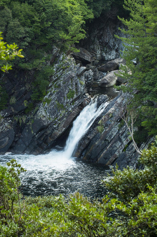 无人,竖图,室外,白天,森林,山,日本,地形,世界遗产,风景,自然,鹿儿岛县,联合国教科文组织,bj175