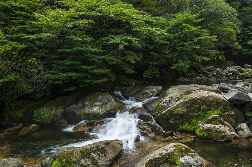 无人,横图,室外,白天,河流,日本,地形,世界遗产,风景,自然,鹿儿岛县,岩石,联合国教科文组织,bj175