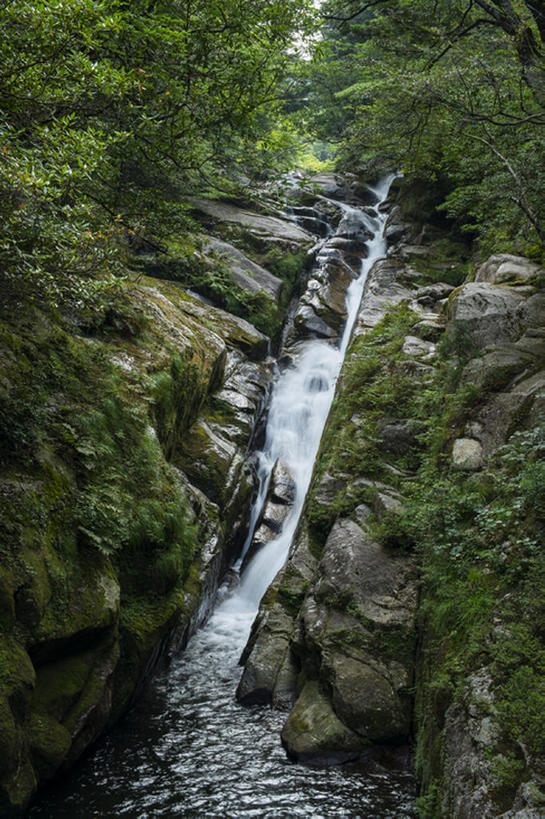 无人,竖图,室外,白天,河流,森林,地形,世界遗产,树,风景,自然,鹿儿岛县,岩石,联合国教科文组织,bj175