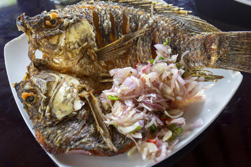 无人,横图,鱼,油炸,食品,盘子,海产,bj175