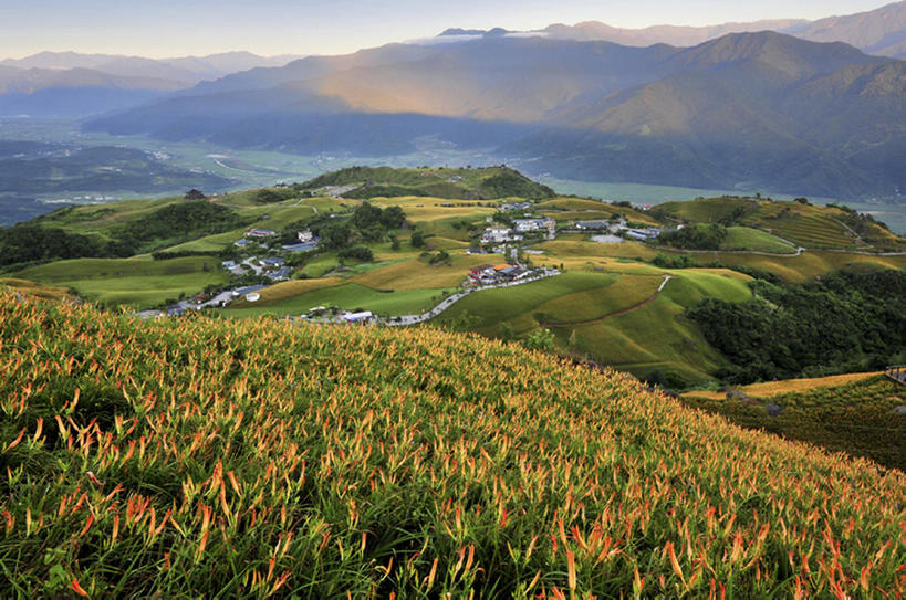 横图,室外,白天,山,植物,台湾,地形,花,风景,bj175