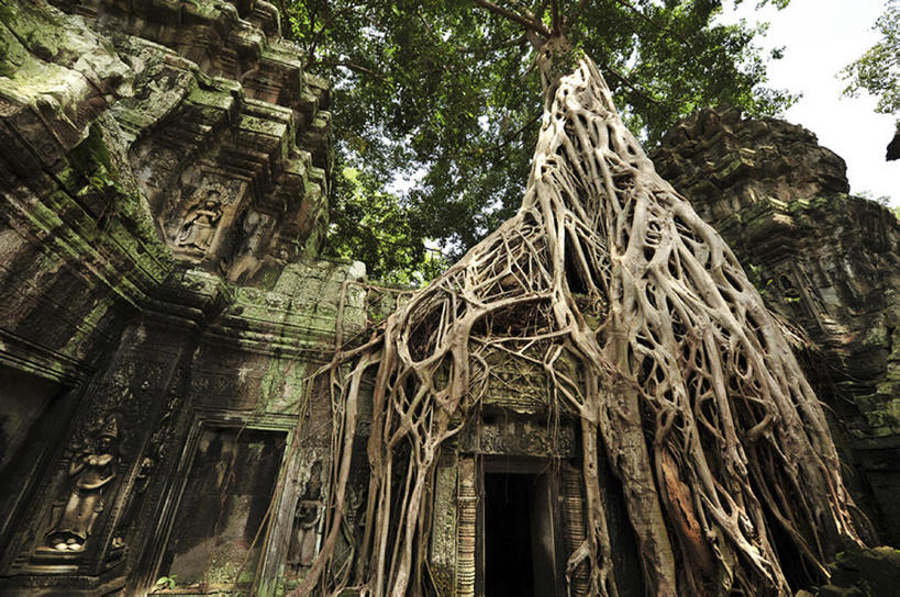 横图,室外,白天,柬埔寨,木制,文化遗产,世界遗产,吴哥寺,联合国教科文组织,bj175