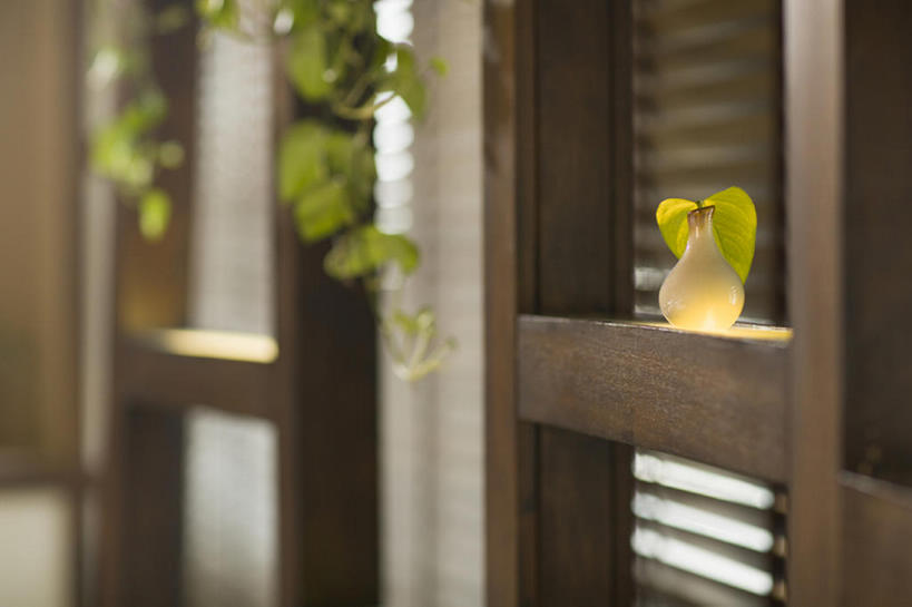 无人,横图,室内,窗户,静物,花瓶,北京,中国,亚洲,木制,装饰品,树叶,摄影,照亮,东亚,彩图,bj175