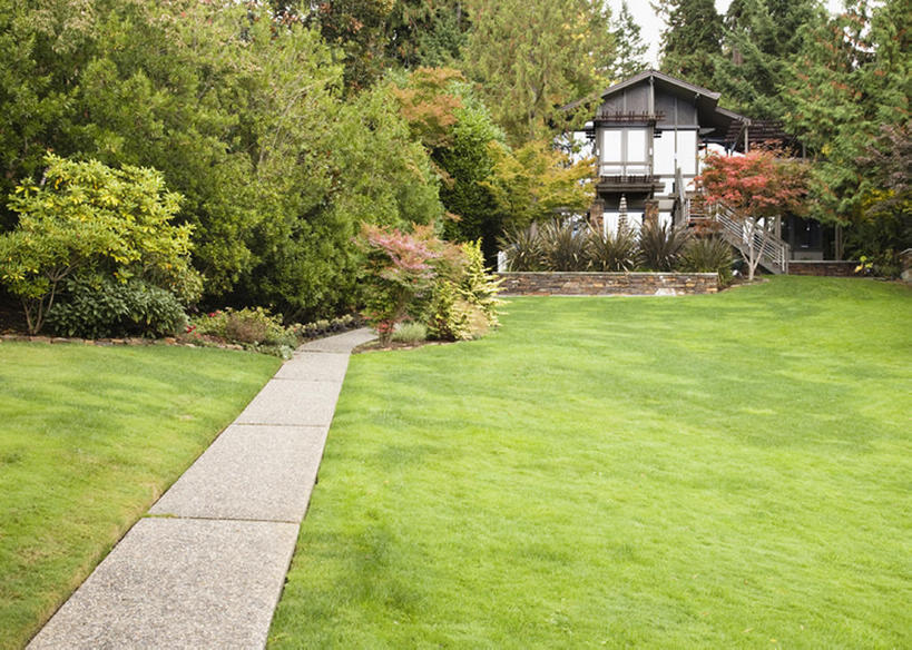 无人,家,横图,室外,白天,留白,草地,草坪,别墅,建筑,华盛顿,美国,房屋,小路,草,树,绿色,绿地,摄影,住房,房地产,彩图,bj175