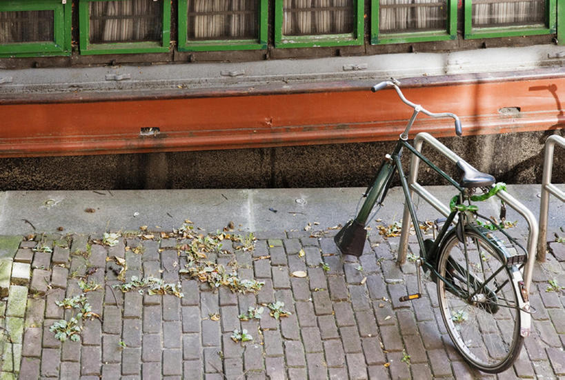 无人,横图,室外,白天,安全,窗户,建筑,自行车,意大利,欧洲,砖,路边,人行道,锁,树叶,摄影,南欧,意大利共和国,首府,翁布里亚,翁布里亚大区,佩鲁贾,彩图,斯波莱托,bj175