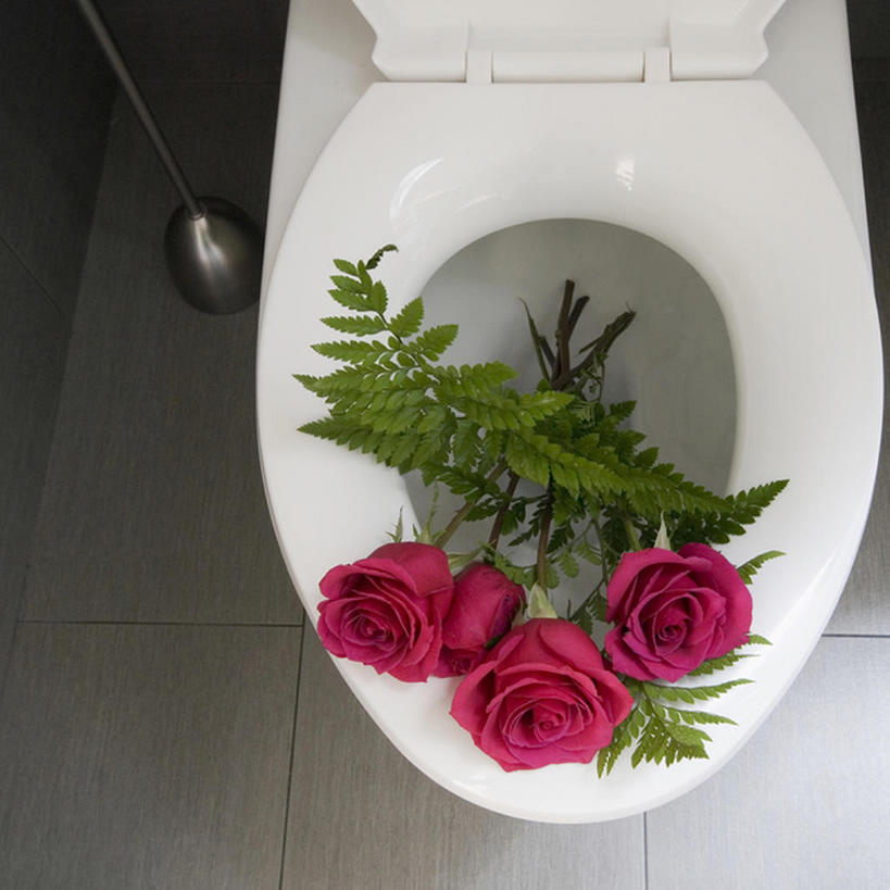 无人,家,方图,室内,特写,留白,浴室,玫瑰,加拿大,一排,整齐,瓷砖,房屋,干净,花,排列,花束,摄影,抽水马桶,卫生,队列,反差,温哥华,大不列颠哥伦比亚,彩图,bj175